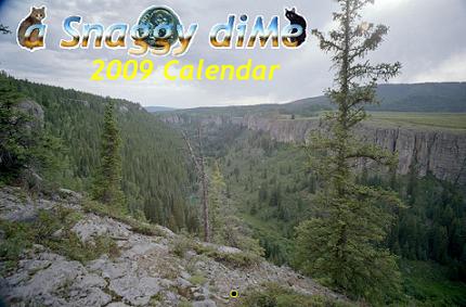 a Snaggy diMe 2009 Calendar